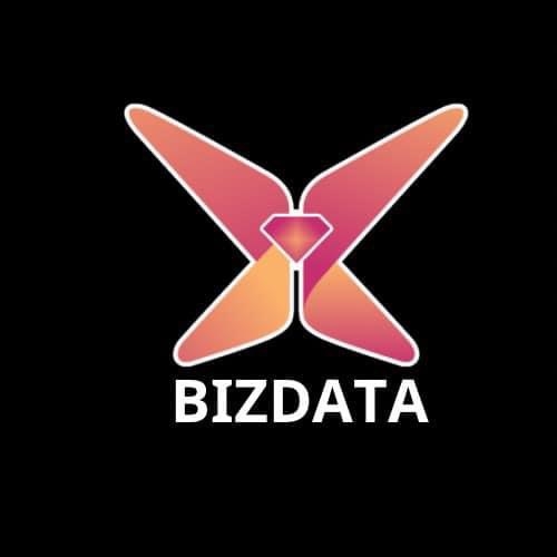 Bizdata Platform